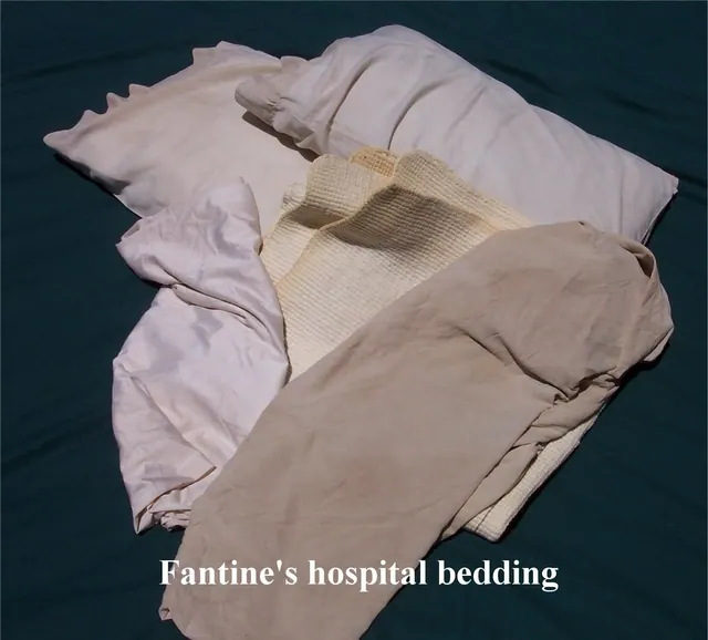 Fantine's Hospital Bedding