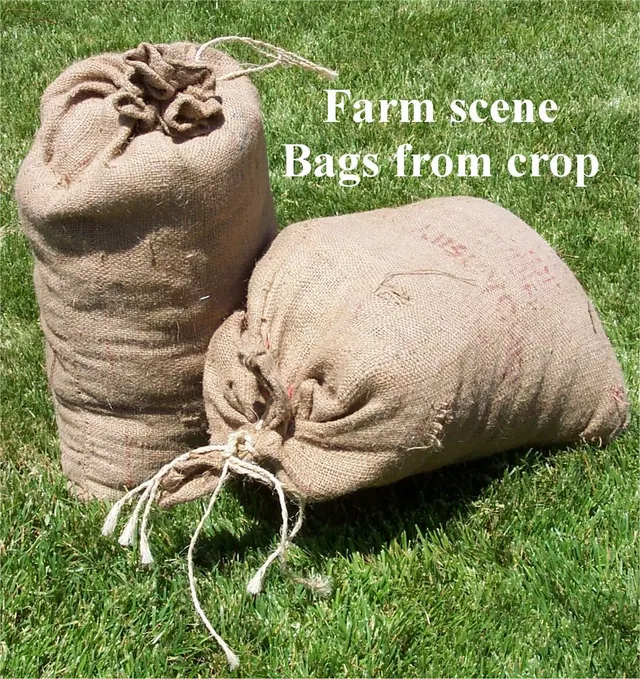 Farm Scene Bag